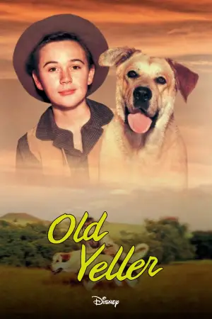 Poster to the movie "Old Yeller" #714613