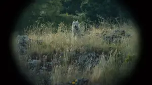 Backdrop to the movie "Nebelkind: The End of Silence" #716750