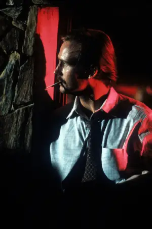 Poster to the movie "Body Heat" #722873