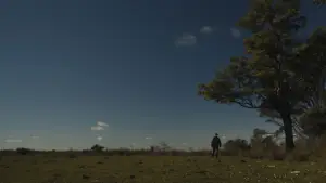 Backdrop to the movie "Old Nepo" #777148