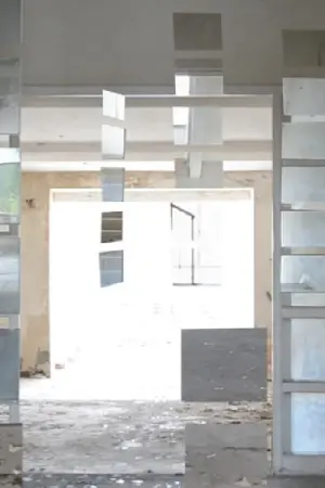 Poster to the movie "Evanescence" #490989