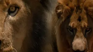 Backdrop to the movie "The Ghost and the Darkness" #265590