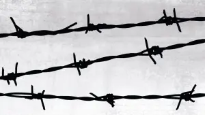 Backdrop to the movie "Night and Fog" #440435