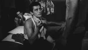 Backdrop to the movie "Rocco and His Brothers" #750844