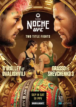 Poster to the movie "UFC 306: O