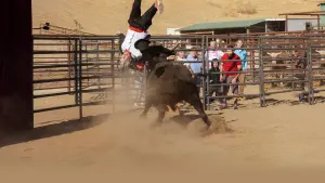 Backdrop to the movie "Jackass Forever" #484676