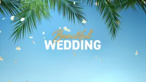 Backdrop to the movie "Beautiful Wedding" #190134