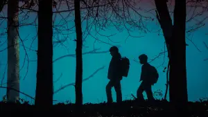 Backdrop to the movie "Salem