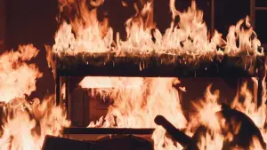 Backdrop to the movie "The Beast" #755976