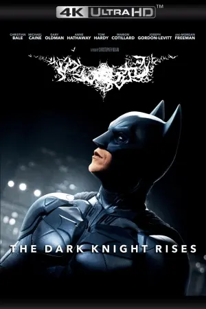Poster to the movie "The Dark Knight Rises" #155437
