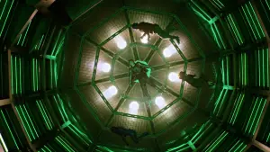 Backdrop to the movie "X-Men: Apocalypse" #721712