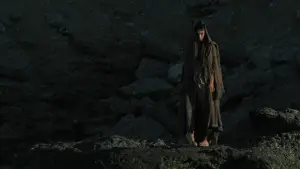 Backdrop to the movie "The Carpenter