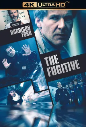 Poster to the movie "The Fugitive" #70095