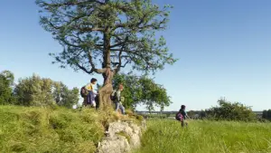 Backdrop to the movie "A Hero