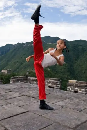 Poster to the movie "The Karate Kid" #835689