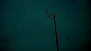 Backdrop to the movie "Elephant" #792736