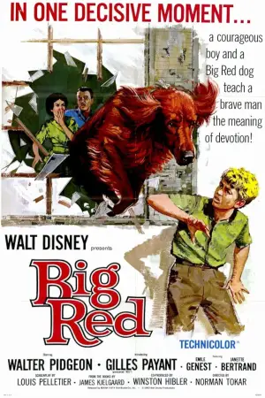 Poster to the movie "Big Red" #743551