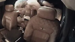 Backdrop to the movie "Locked" #586732