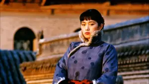 Backdrop to the movie "Raise the Red Lantern" #752278