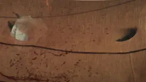 Backdrop to the movie "They Call Him OG" #621584