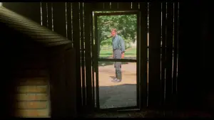 Backdrop to the movie "Witness" #672993