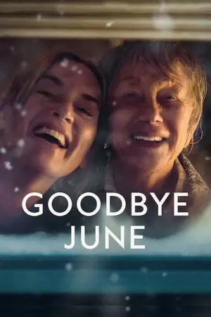 Poster to the movie "Goodbye June" #562563