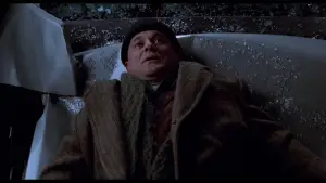 Backdrop to the movie "Home Alone 2: Lost in New York" #567268