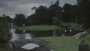 Backdrop to the movie "Labyrinth" #659071