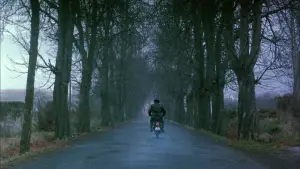 Backdrop to the movie "El Sur" #535738