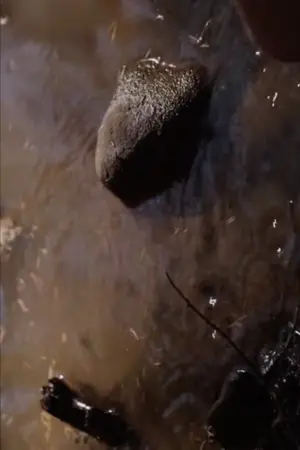 Poster to the movie "Day 3" #458631