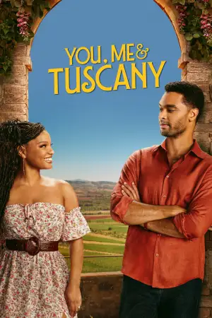 Poster to the movie "You, Me & Tuscany" #795829