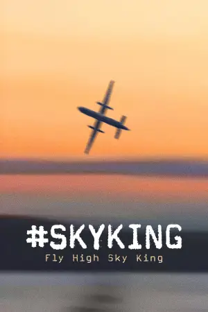 Poster to the movie "#SKYKING" #843742