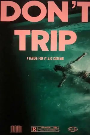Poster to the movie "Don