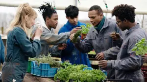 Backdrop to the movie "Kitchen Brigade" #352491