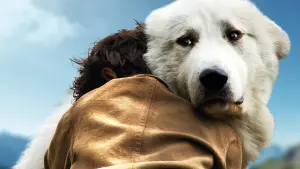 Backdrop to the movie "Belle and Sebastian: The Adventure Continues" #251775