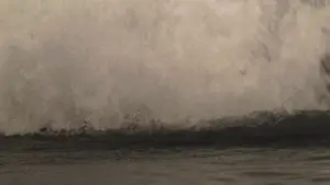 Backdrop to the movie "Moby Dick" #725696