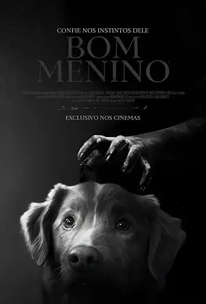 Poster to the movie "Good Boy" #517436