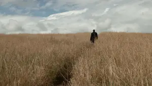 Backdrop to the movie "Horizon" #775786