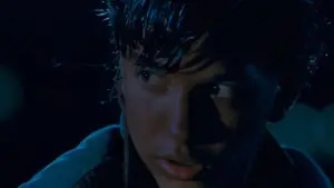 Backdrop to the movie "The Outsiders" #648902