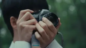 Backdrop to the movie "Summer