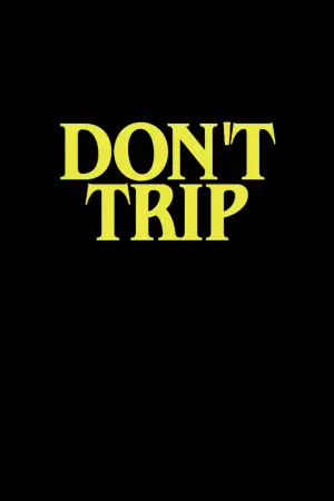 Poster to the movie "Don