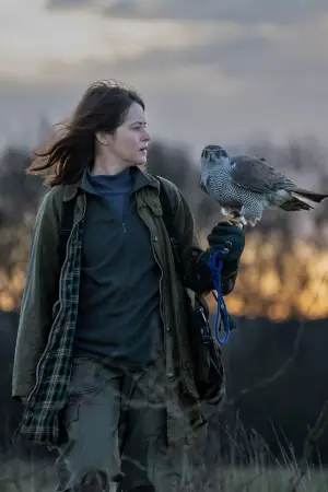 Poster to the movie "H Is for Hawk" #535670