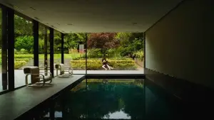 Backdrop to the movie "Bugonia" #511742