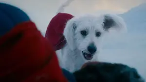 Backdrop to the movie "Superman: Legacy" #513664