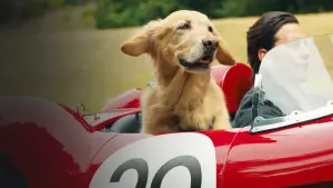 Backdrop to the movie "The Art of Racing in the Rain" #175811