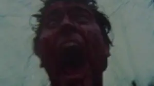 Backdrop to the movie "The Evil Dead" #637023