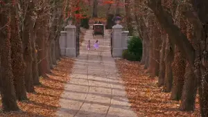 Backdrop to the movie "The Greatest Showman" #580195