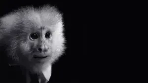 Backdrop to the movie "WHAT DID JACK DO?" #466524