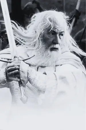 Poster to the movie "The Lord of the Rings: The Return of the King" #827944