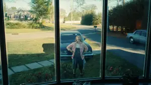 Backdrop to the movie "Song Sung Blue" #773202